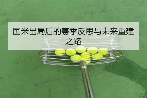 国米出局后的赛季反思与未来重建之路